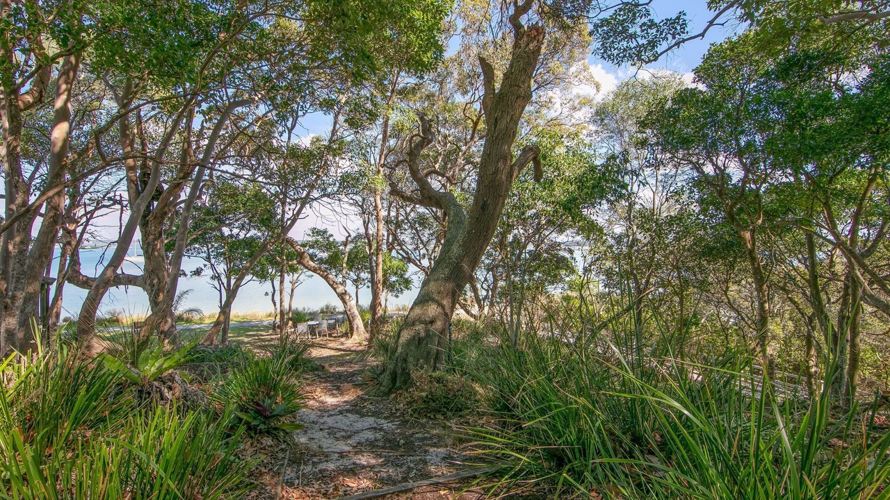 Photo of Others in Iluka