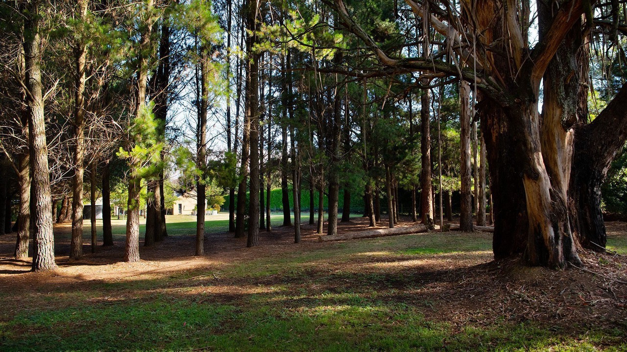 Photo of Outdoor in Trentham