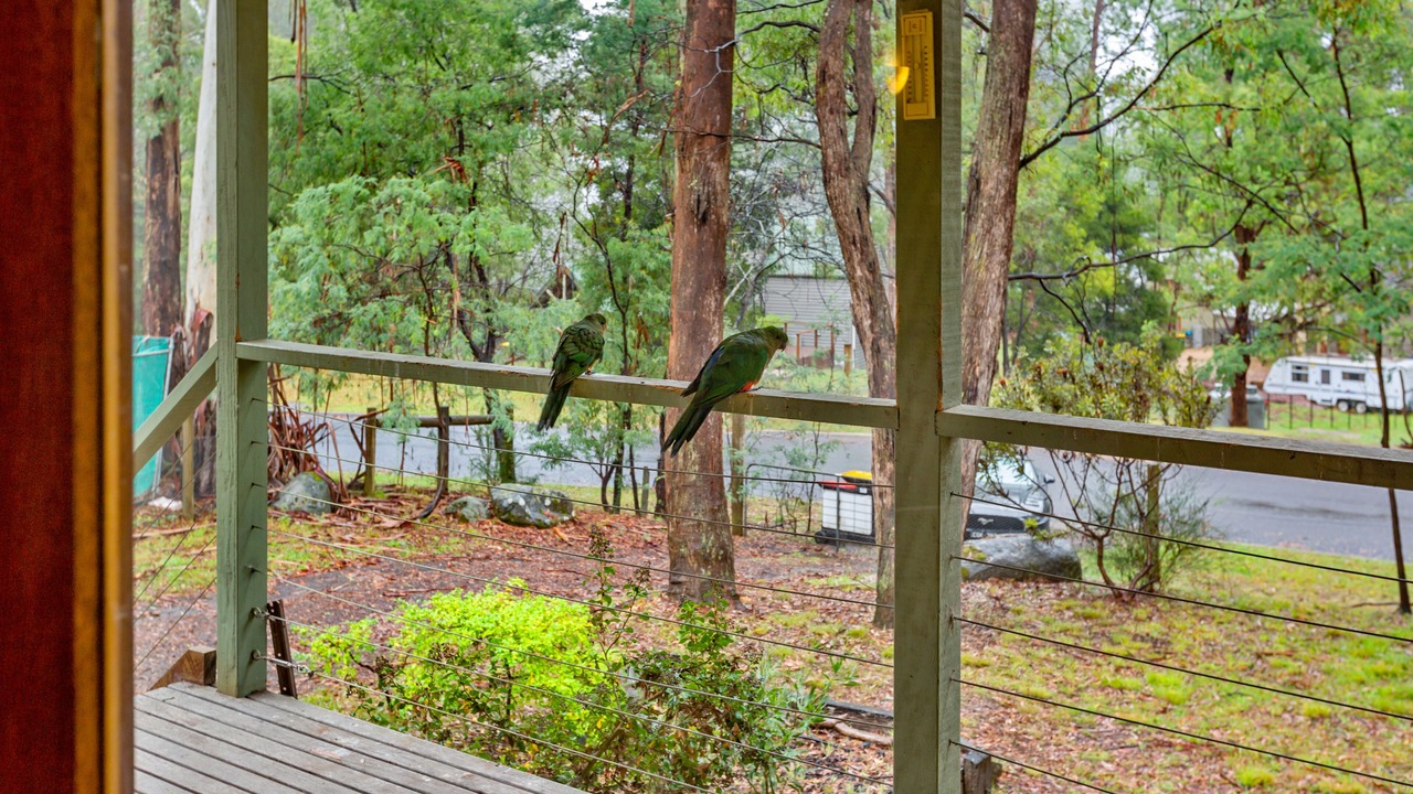 Photo of Outdoor in Sawmill Settlement