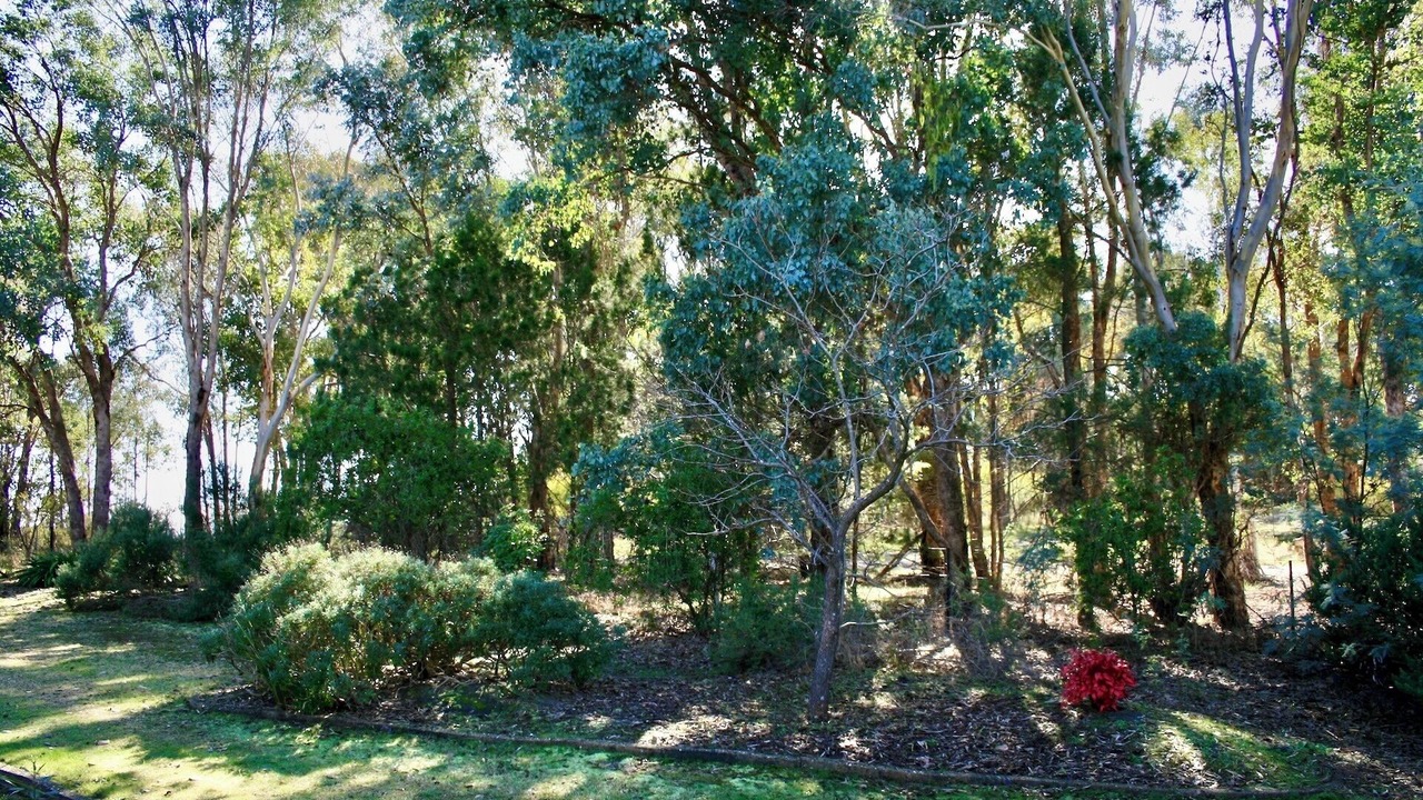 Photo of Outdoor in Wooragee
