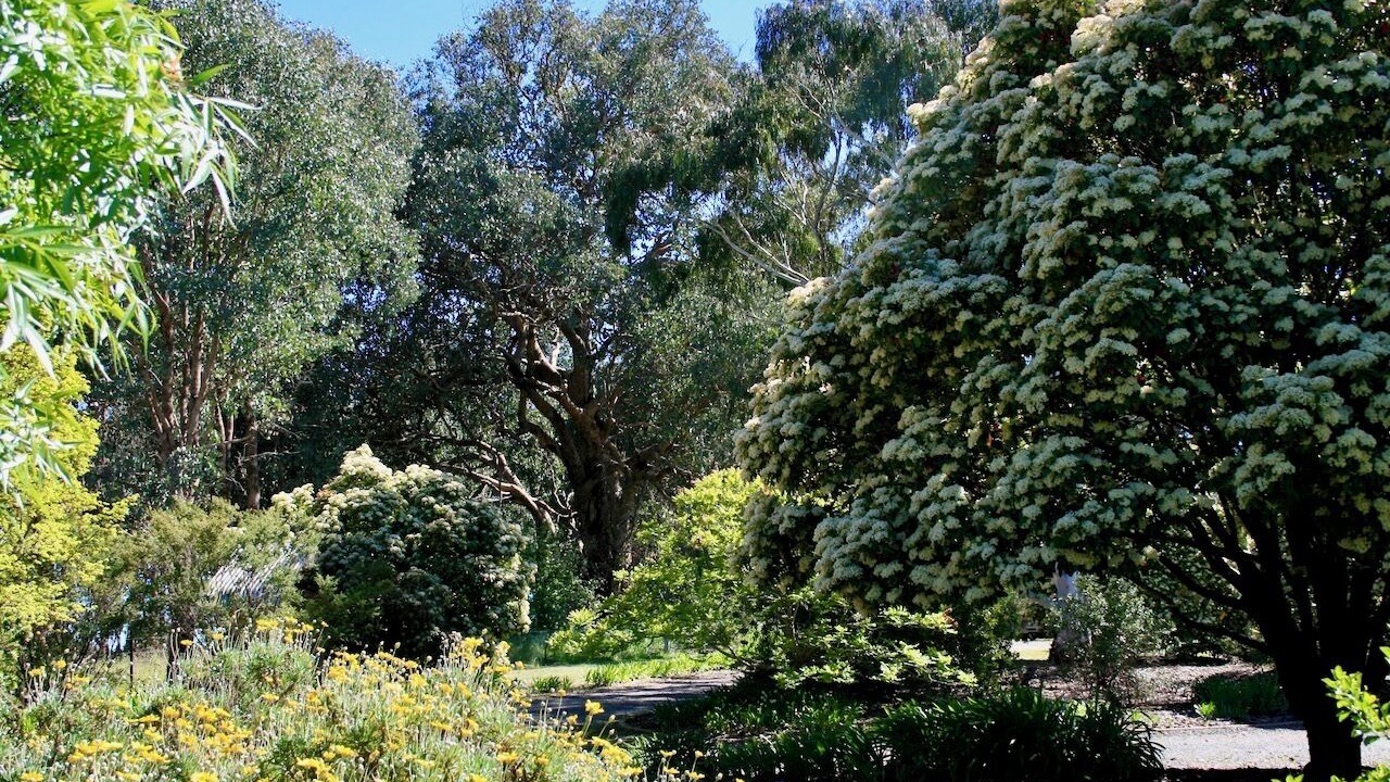 Photo of Outdoor in Wooragee