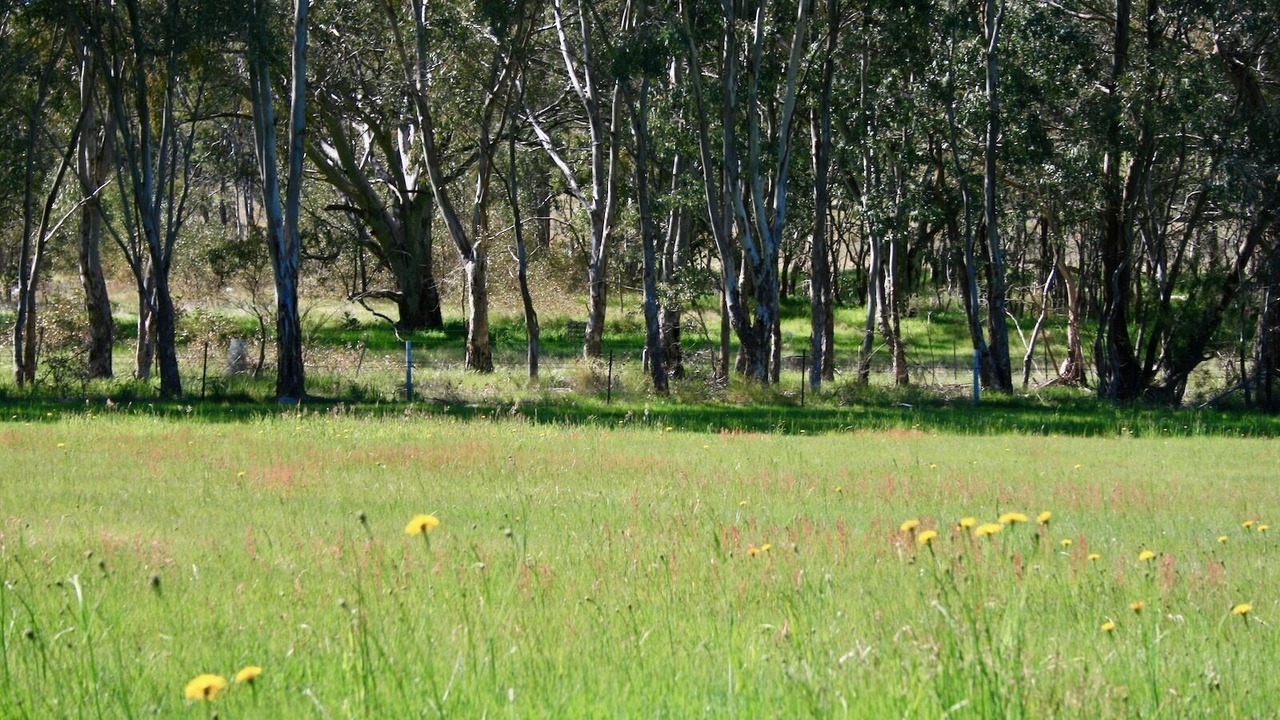 Photo of Others in Wooragee