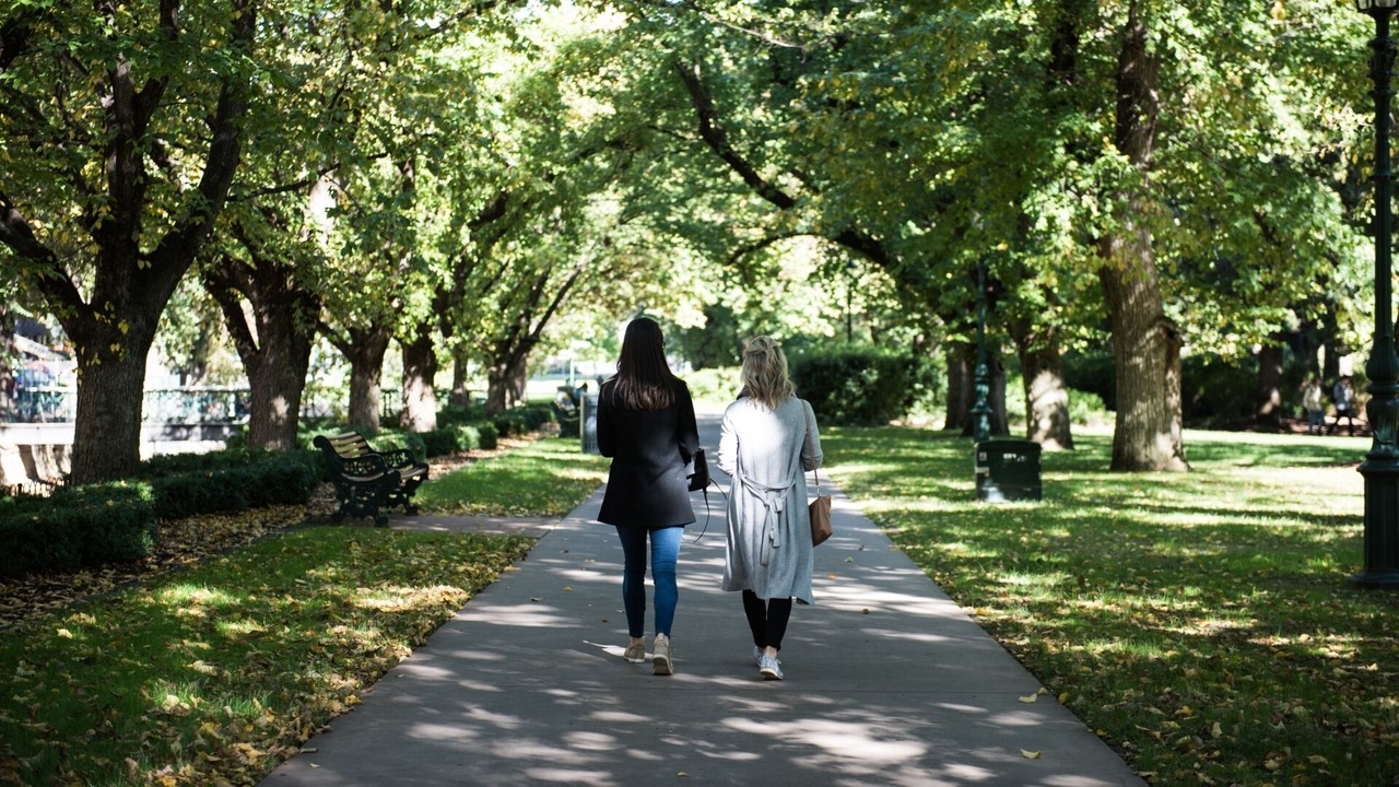 Photo of Others in Bendigo