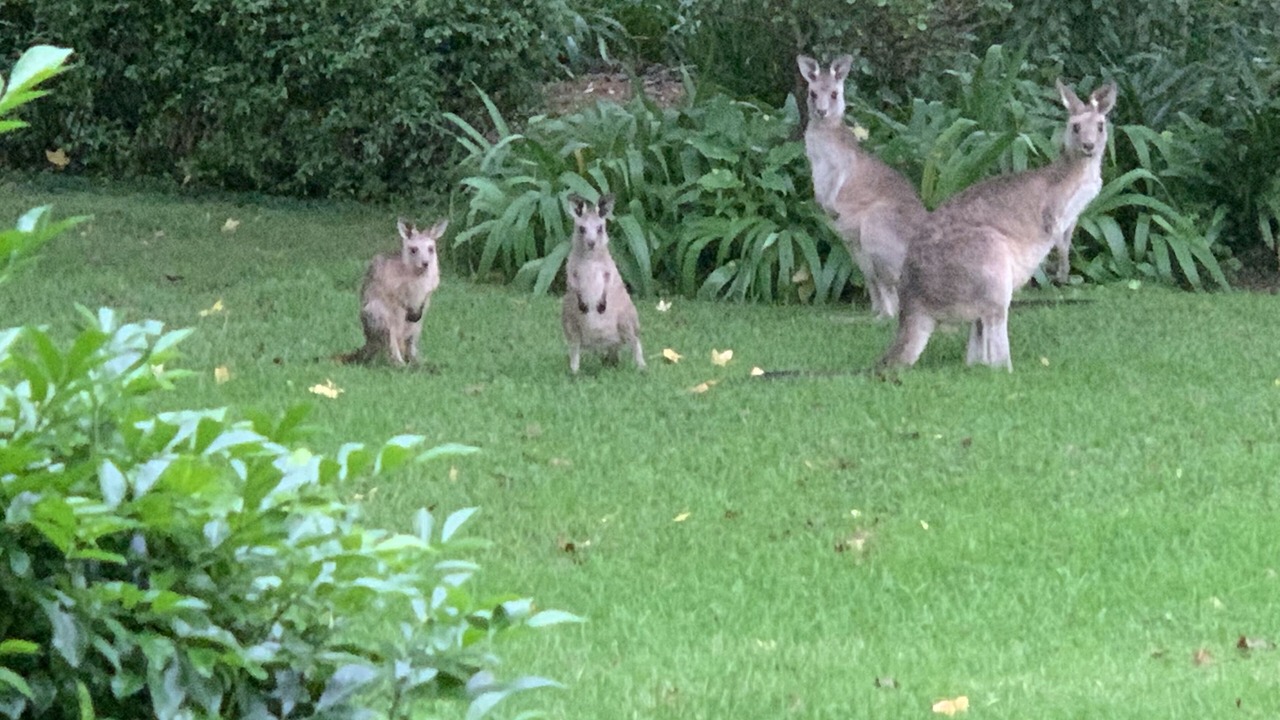 Photo of Others in Broughton Vale
