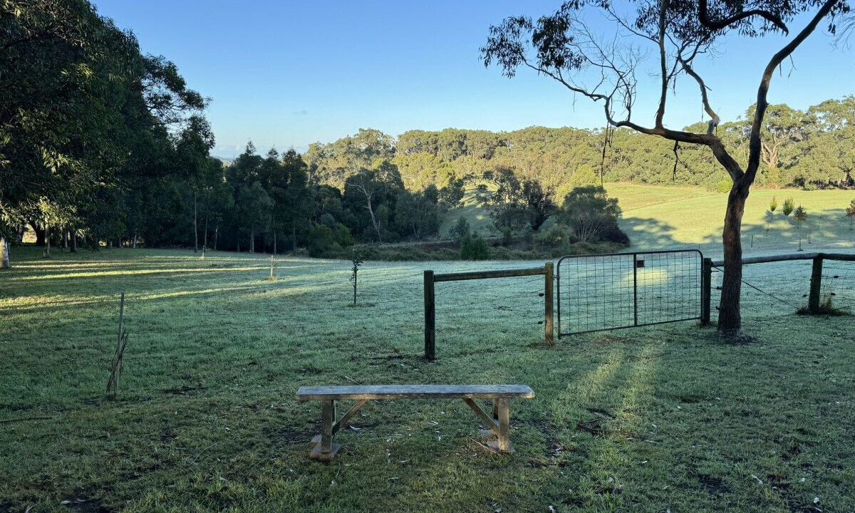 Photo of Outdoor in Arthurs Seat