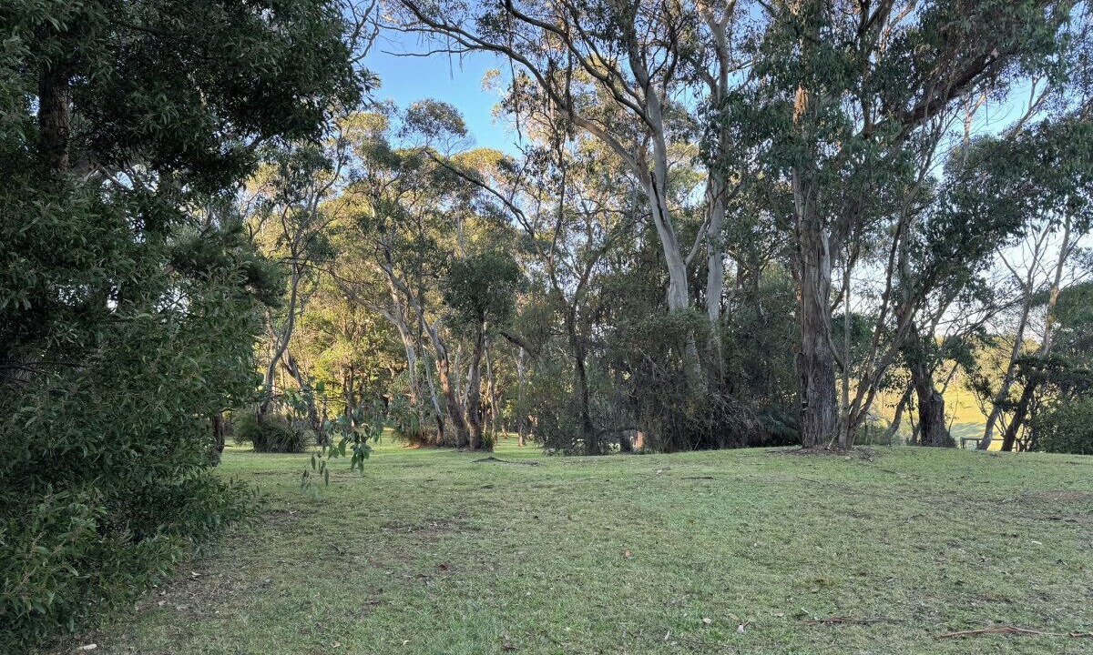 Photo of Outdoor in Arthurs Seat