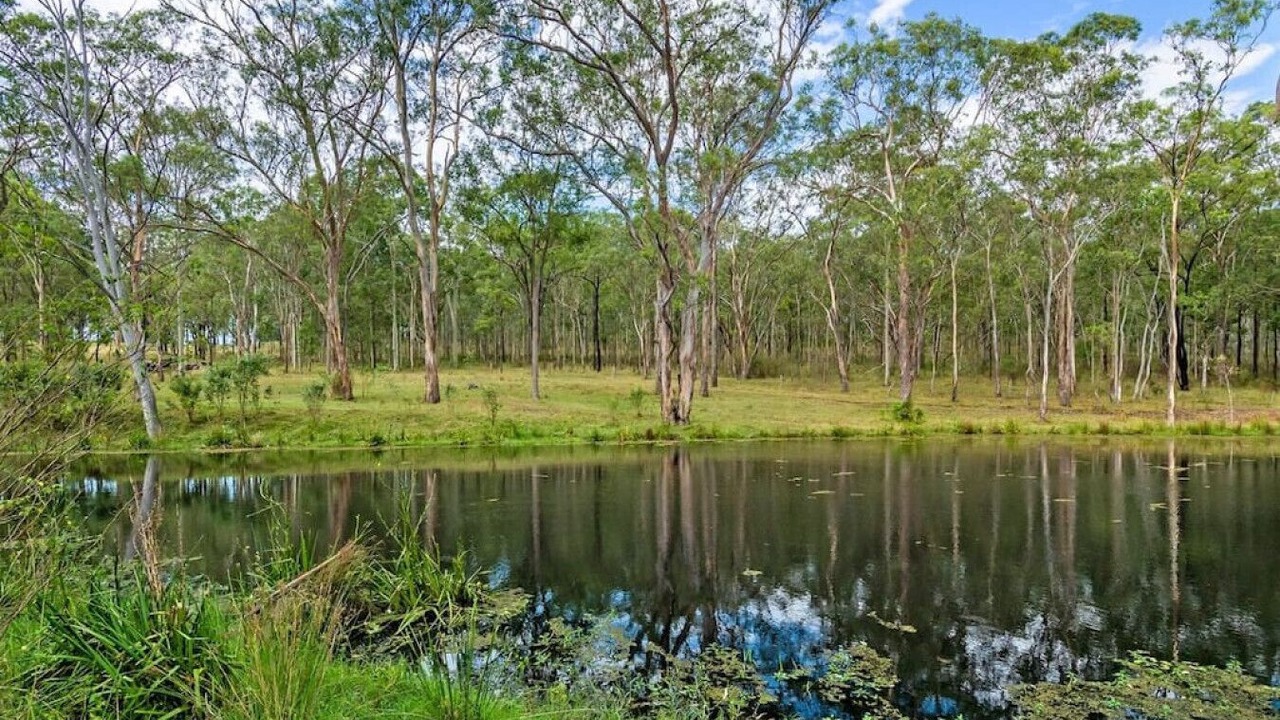 Photo of Outdoor in Farley