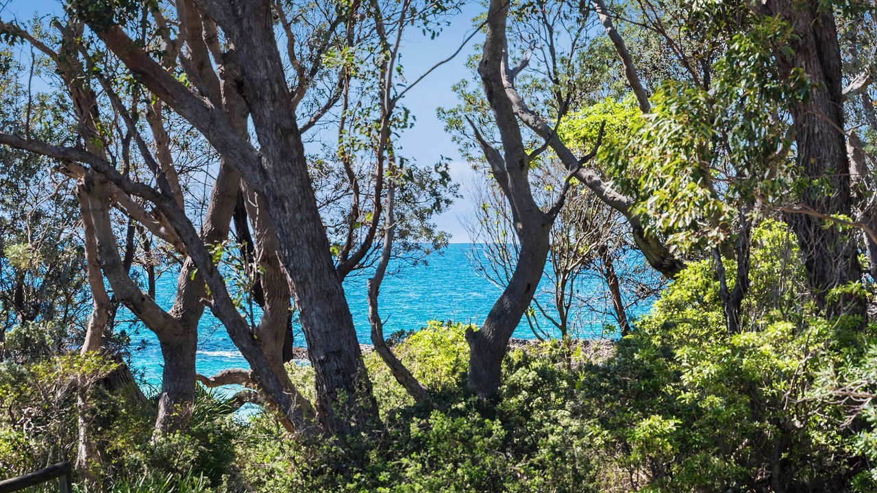 Photo of Outdoor in Narrawallee