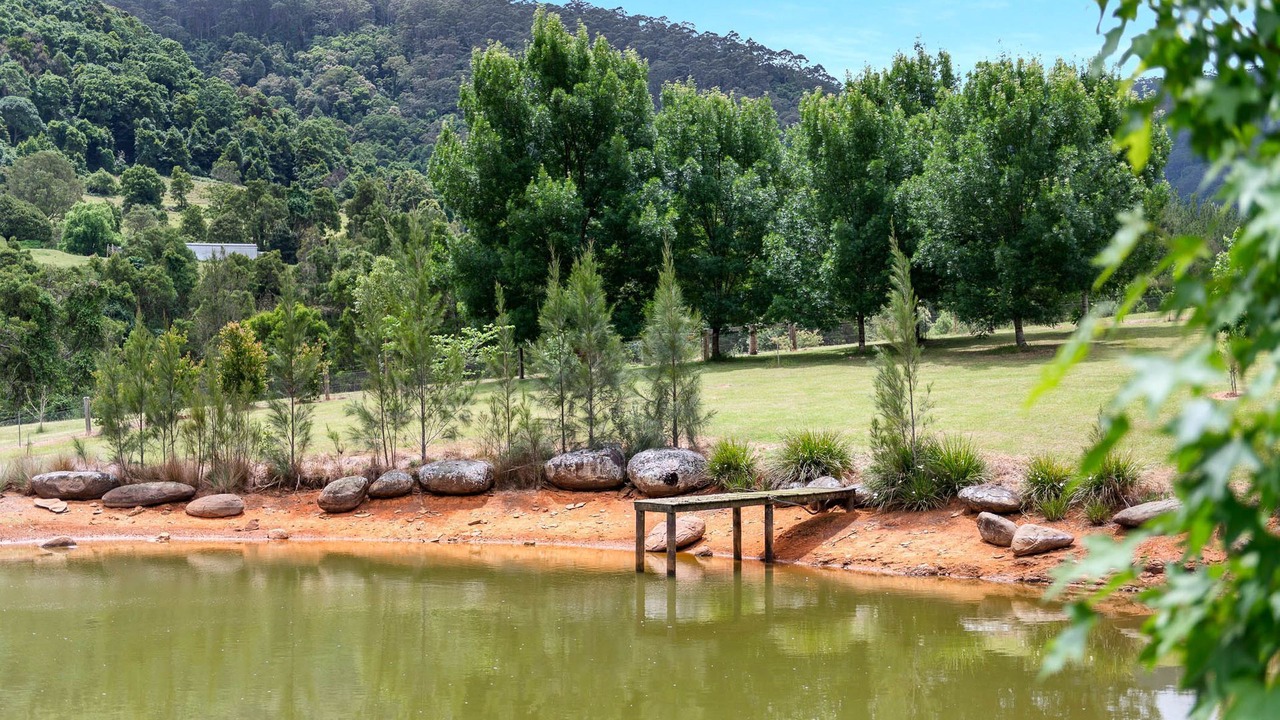 Photo of Others in Wattamolla