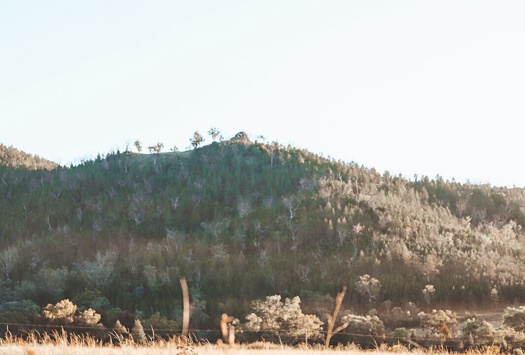 Photo of Others in Limbri