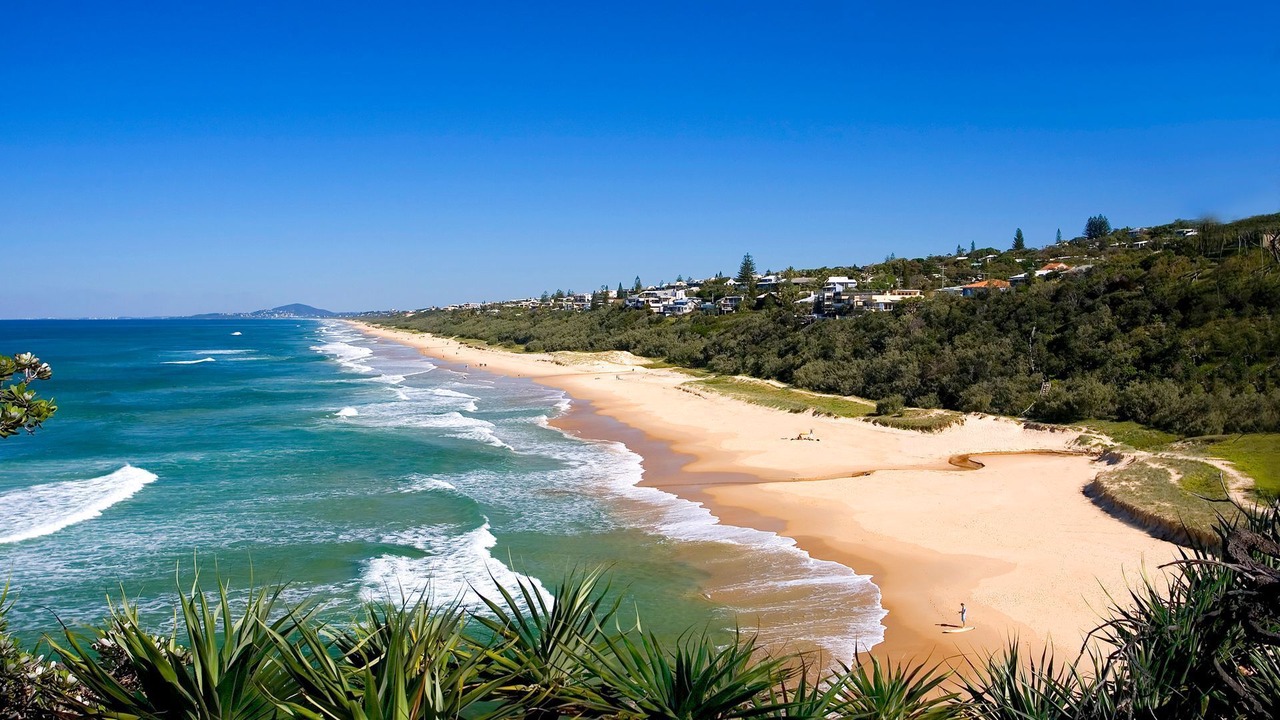Photo of Others in Sunshine Beach