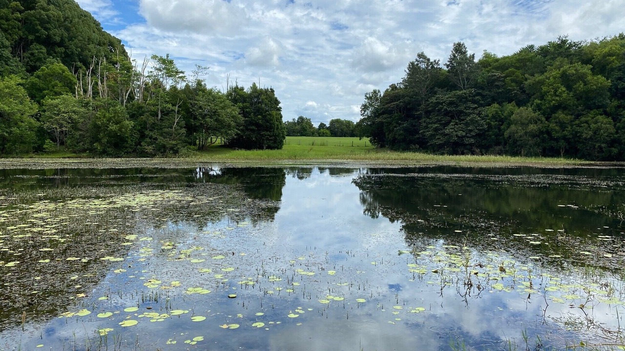 Photo of Outdoor in Knockrow