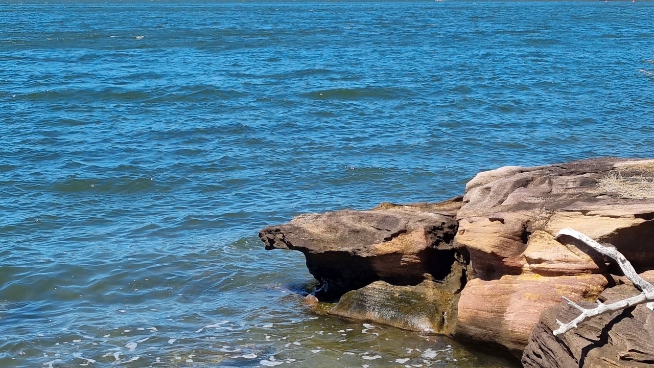 Photo of Others in Brooklyn