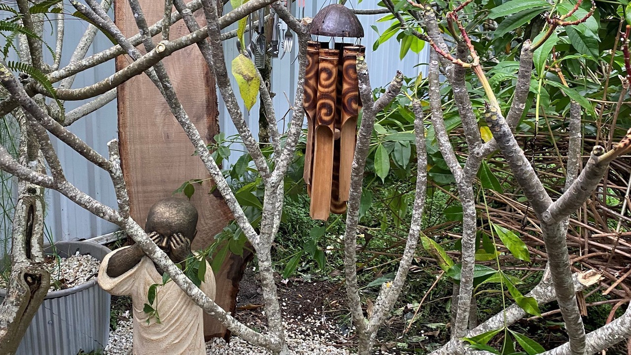 Photo of Outdoor in Iluka