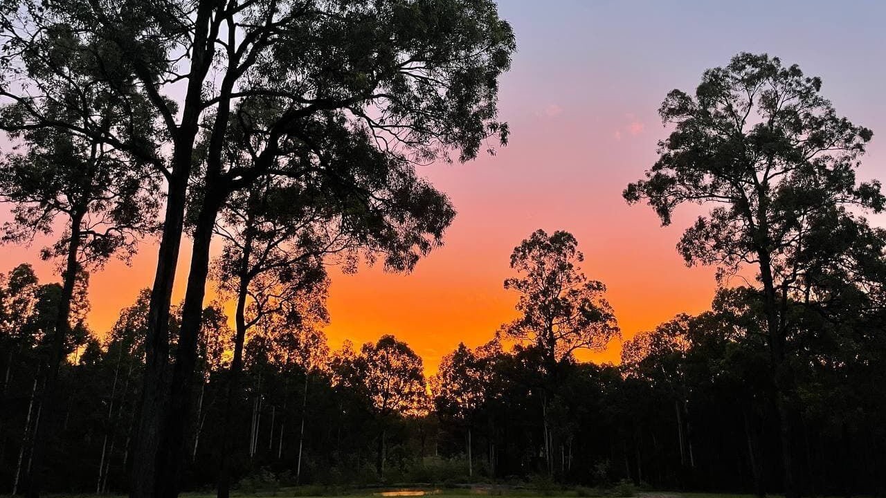 Photo of Others in Lovedale