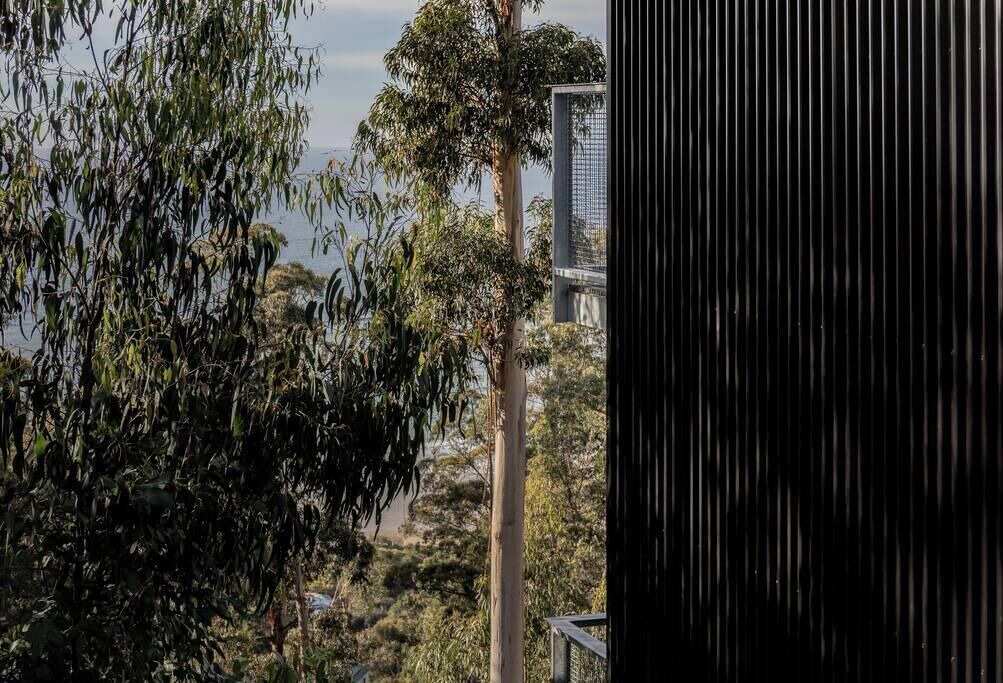 Photo of Outdoor in Wye River