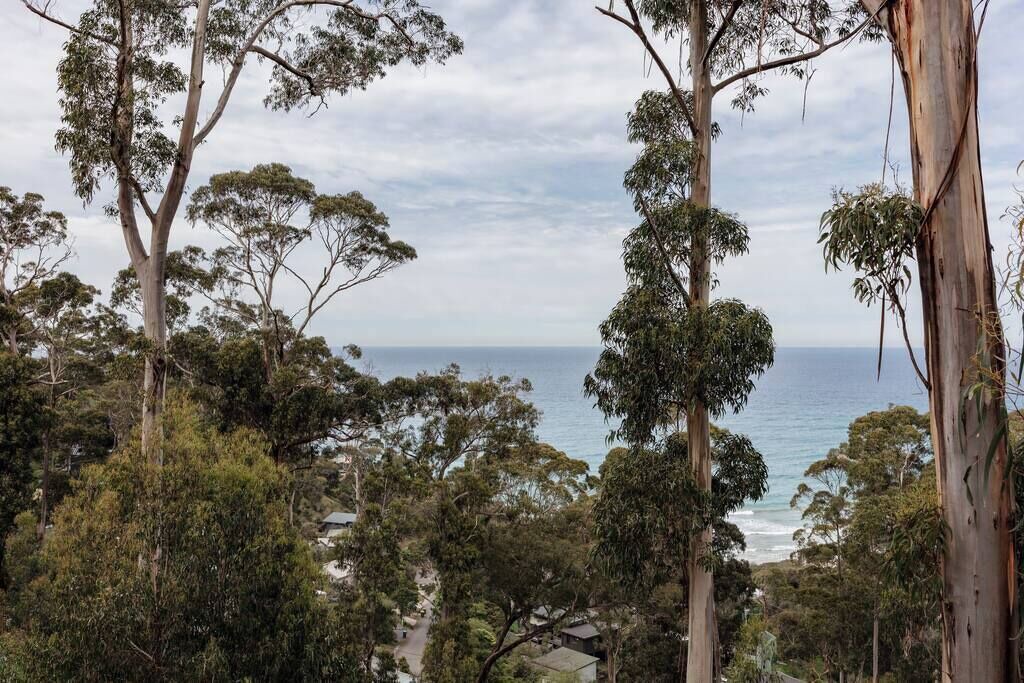 Photo of Others in Wye River