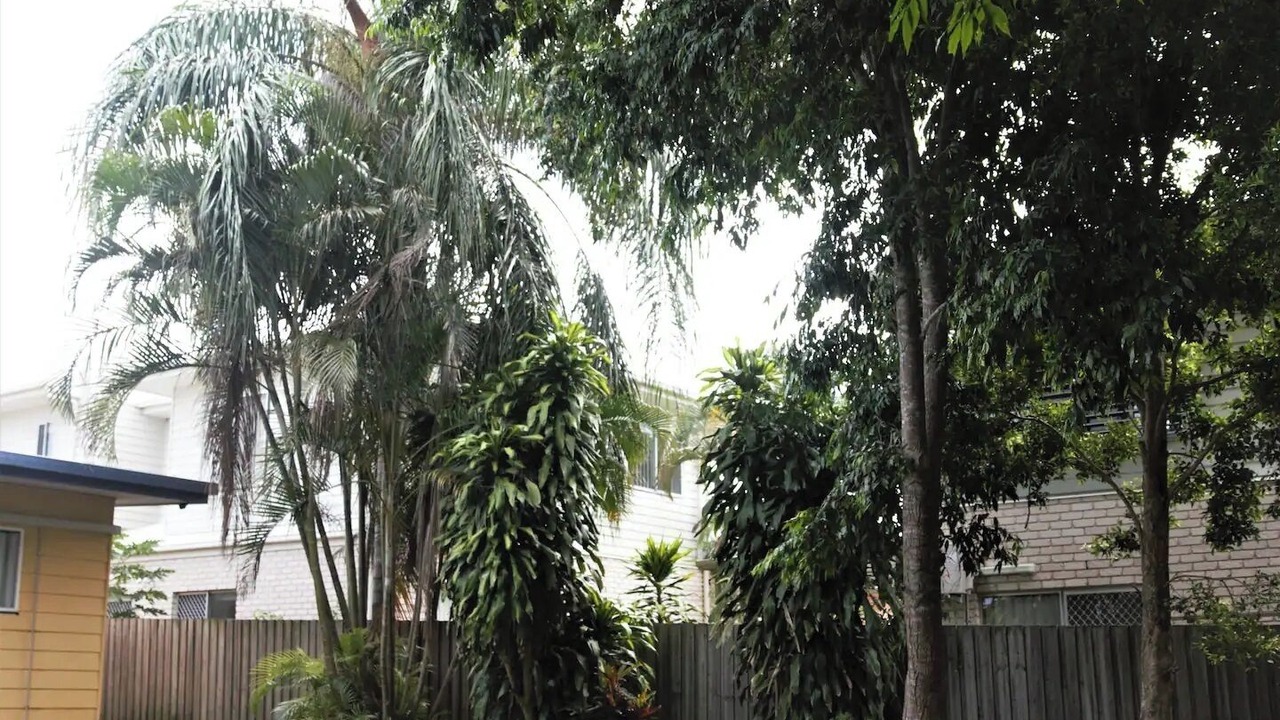 Photo of Outdoor in Torquay