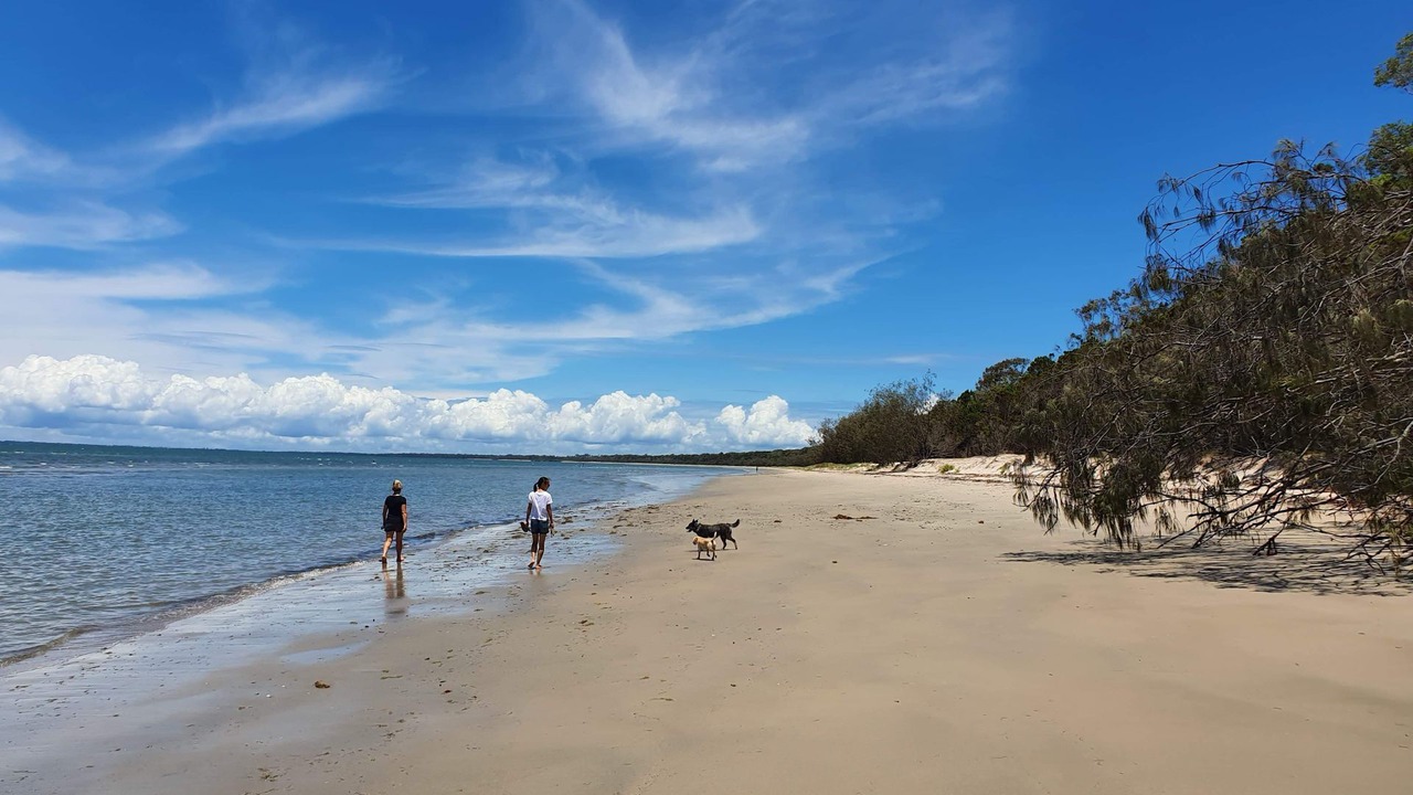 Photo of Others in Toogoom