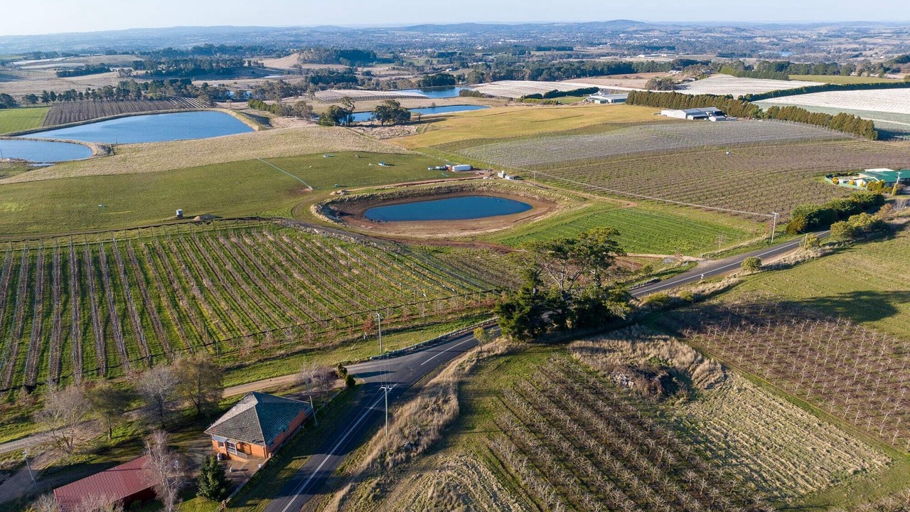 Photo of Outdoor in Canobolas