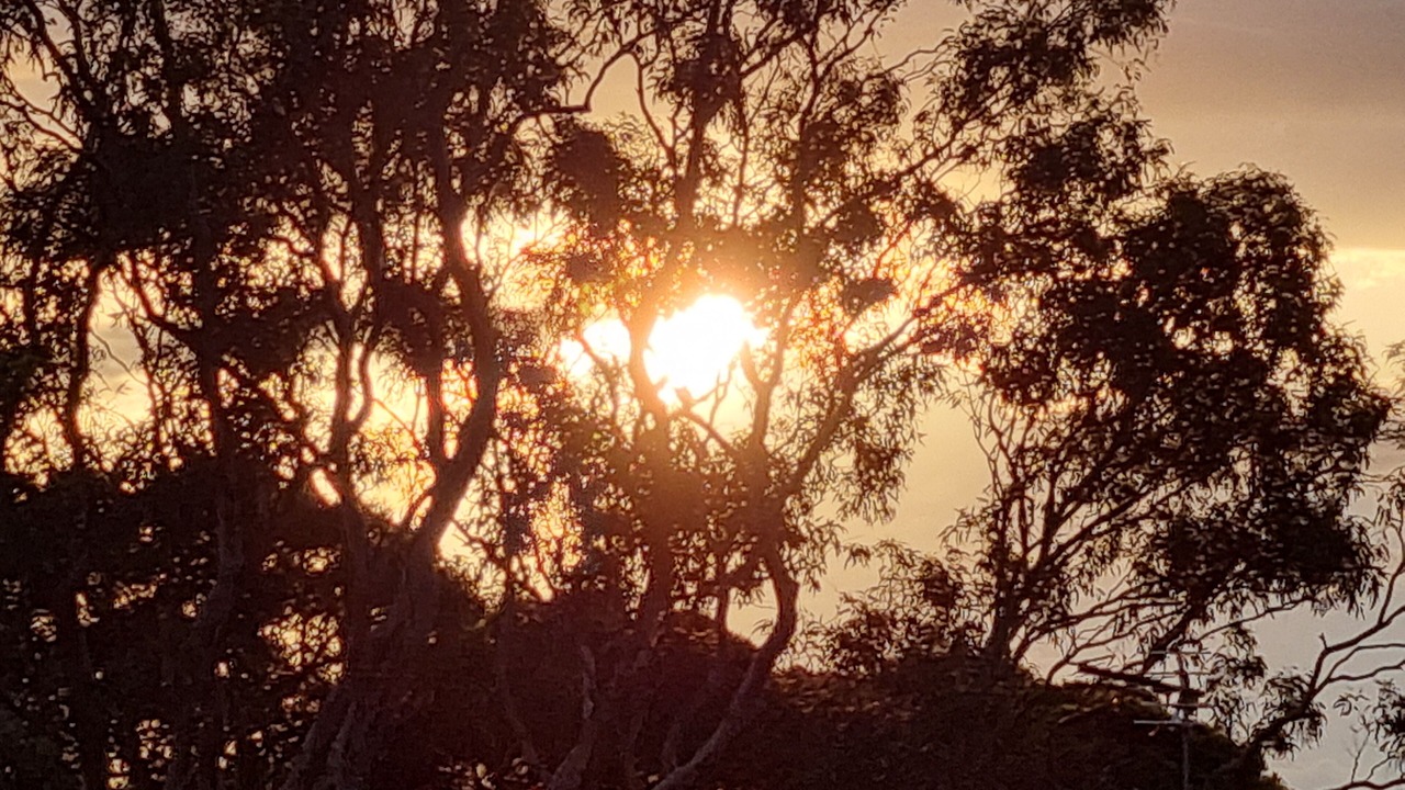 Photo of Others in Shell Cove