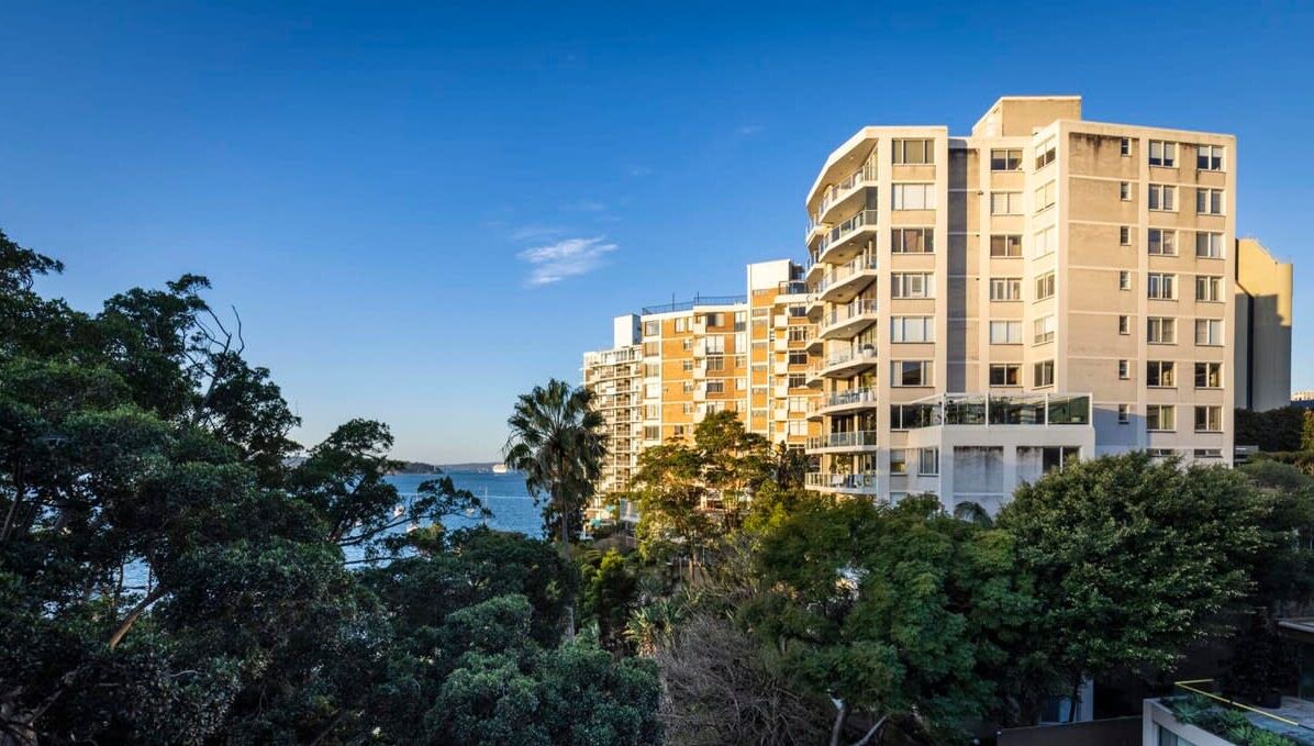 Photo of Others in Elizabeth Bay