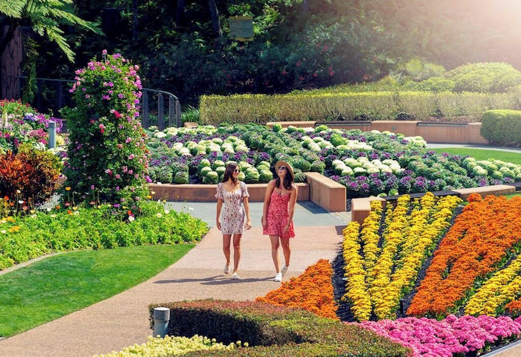 Photo of Others in Spring Hill