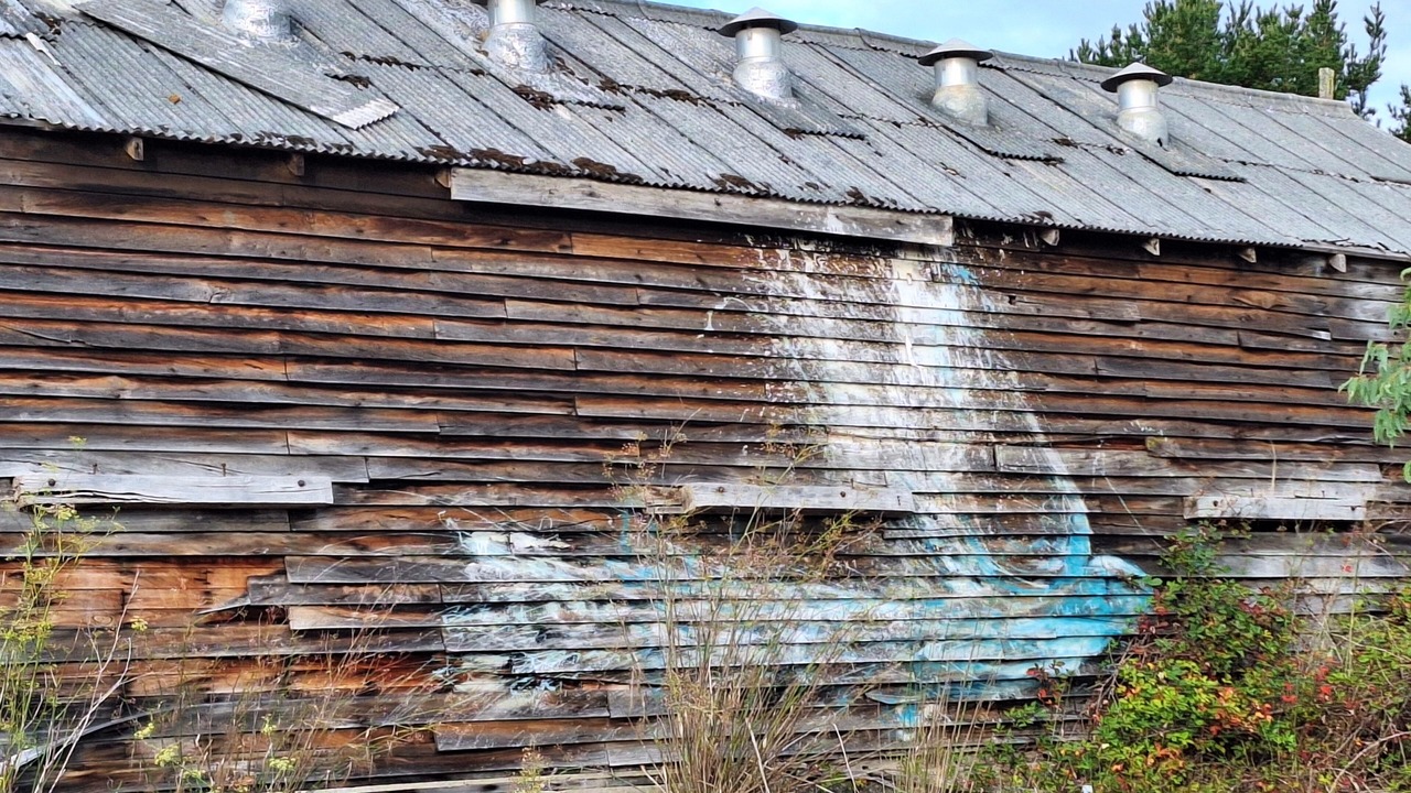 Photo of Outdoor in Dingup