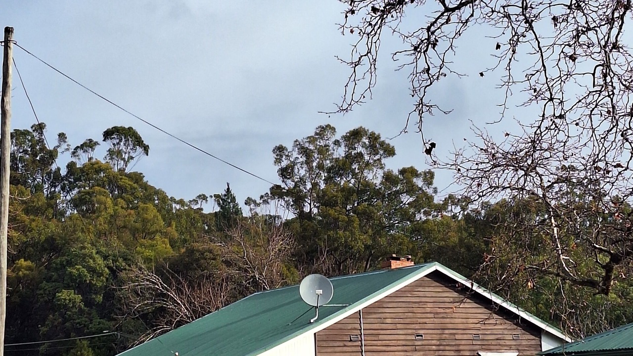 Photo of Outdoor in Dingup