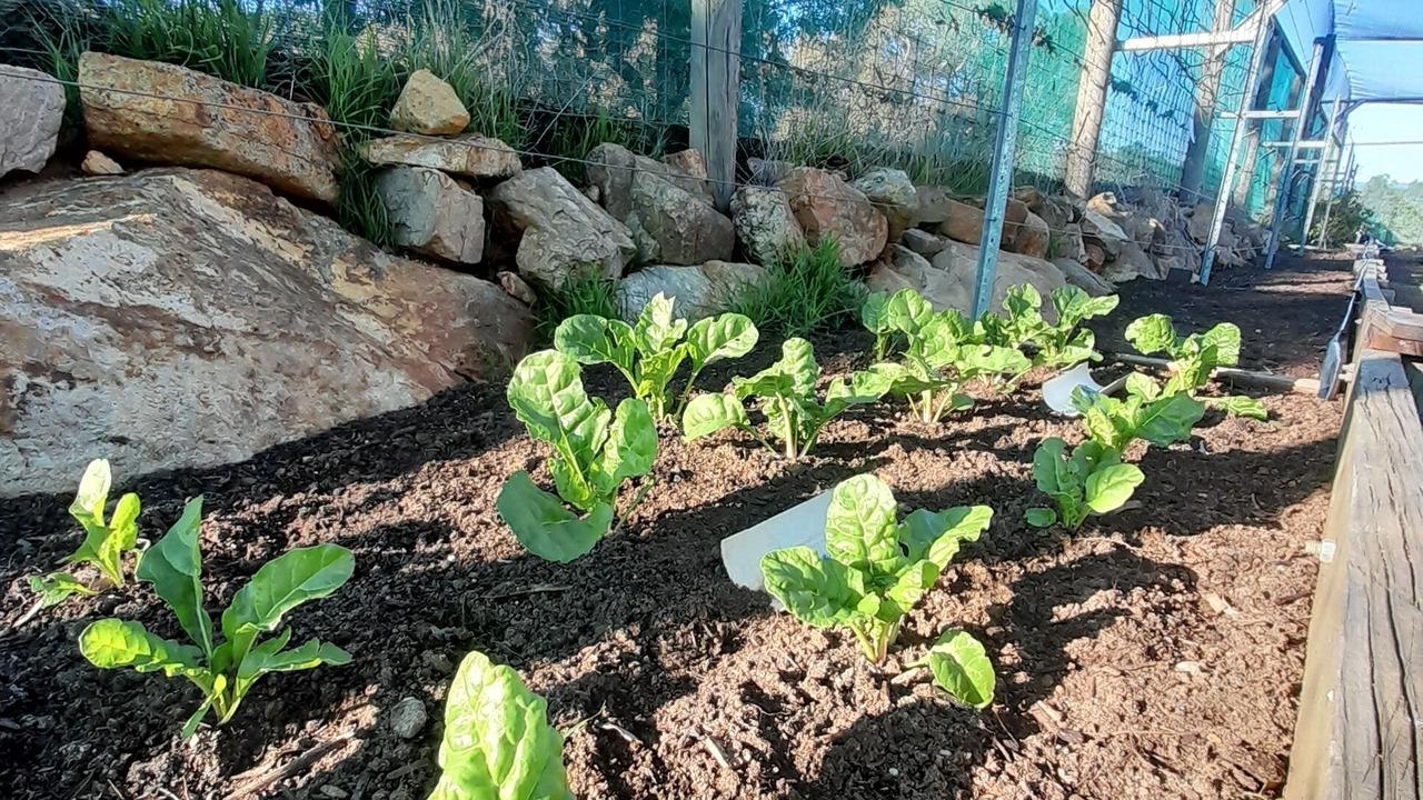 Photo of Outdoor in Baskerville