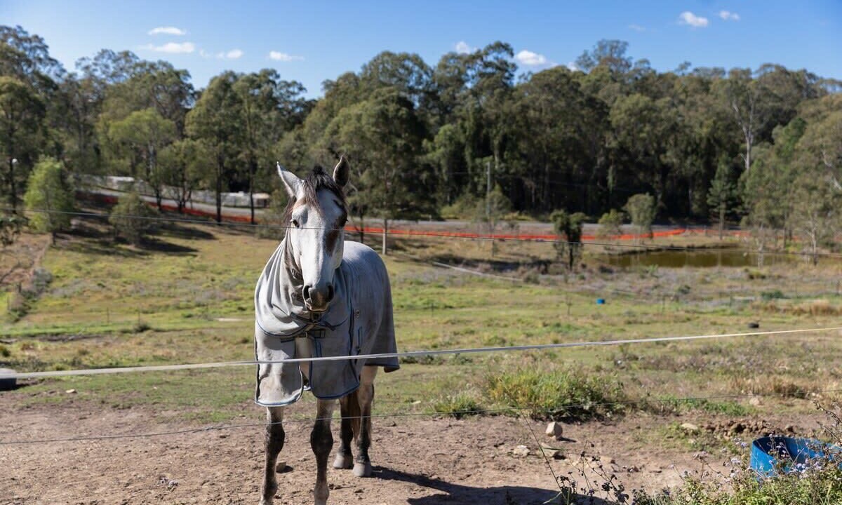 Photo of Others in Upper Coomera