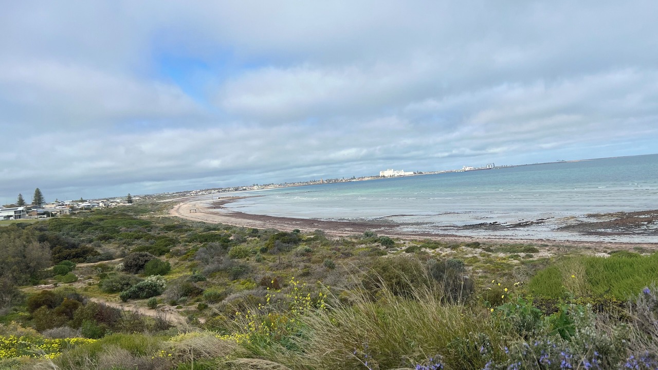 Photo of Others in Wallaroo