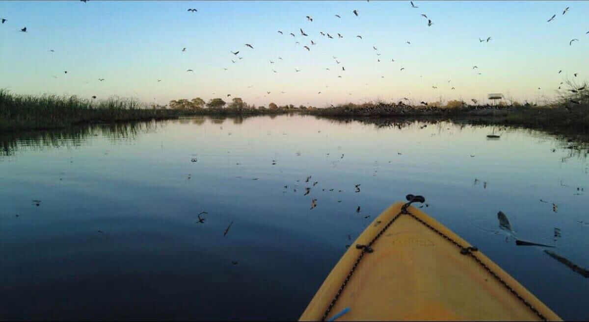 Photo of Others in Lake Charm