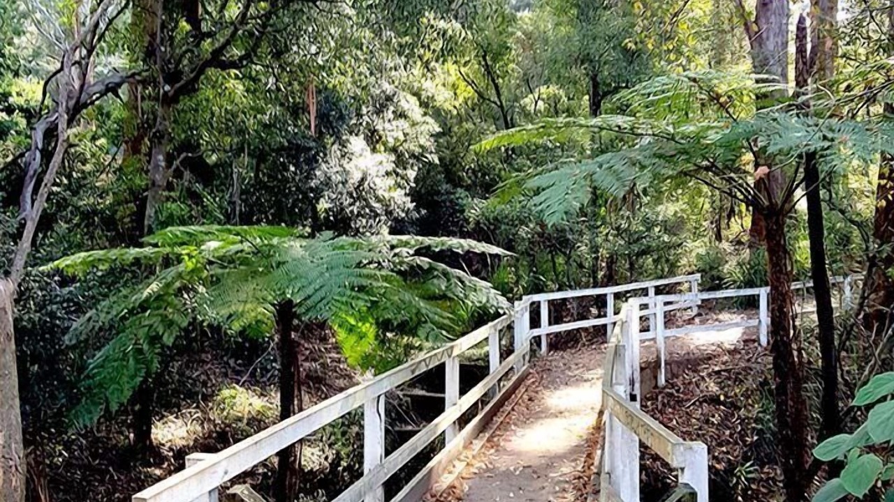 Photo of Others in Beecroft