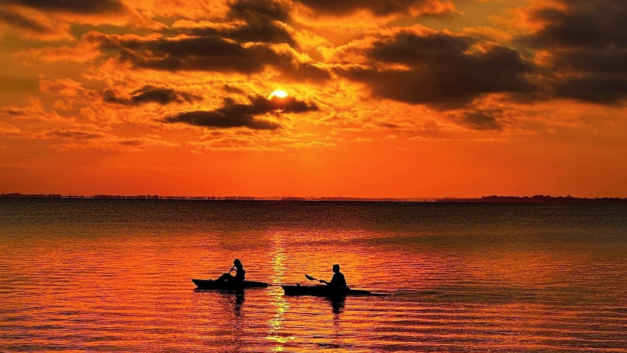 Photo of Others in Loch Sport
