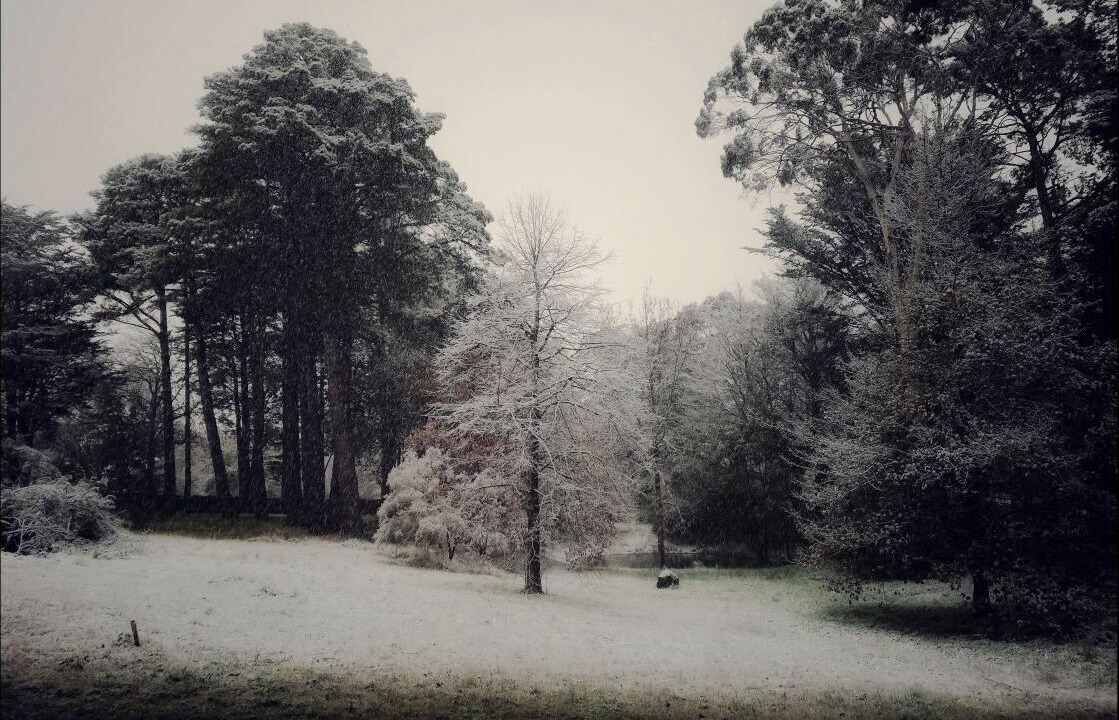 Photo of Others in Mount Macedon