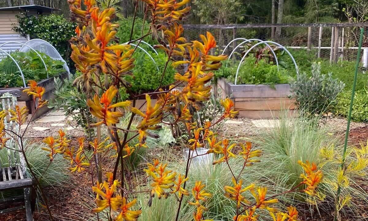 Photo of Outdoor in Bawley Point