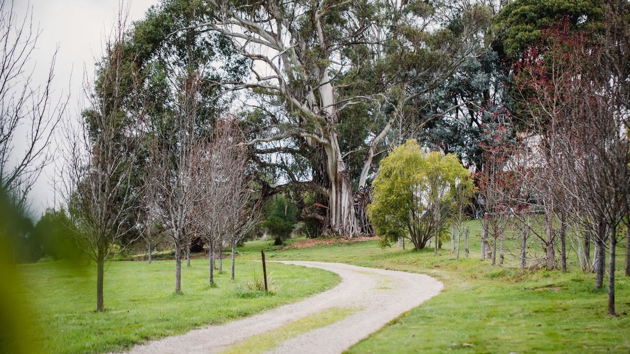 Photo of Outdoor in Red Hill South