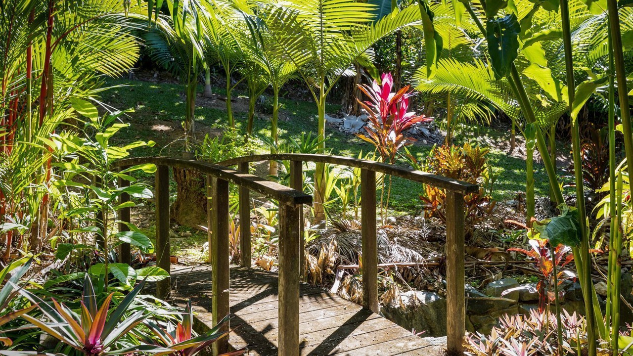 Photo of Outdoor in Mossman