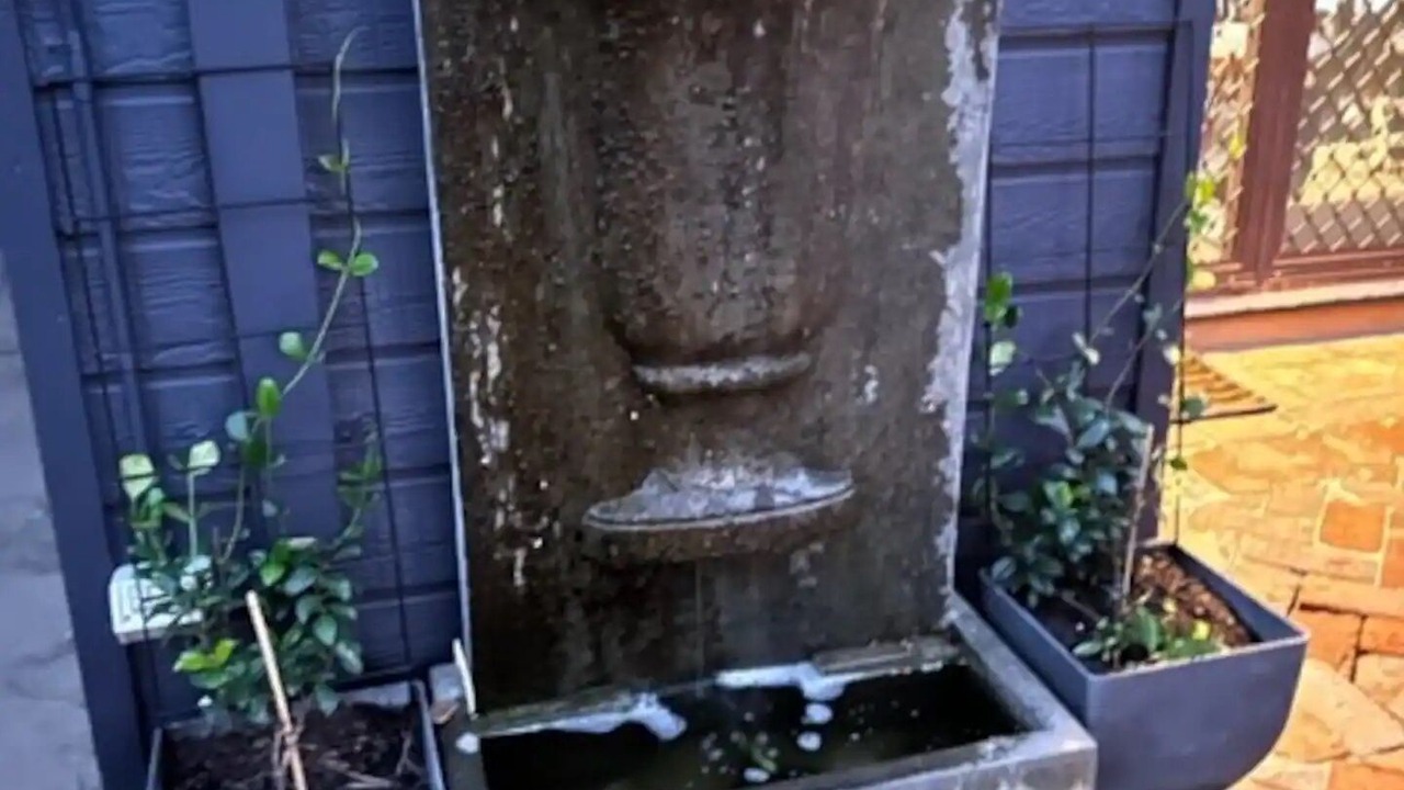 Photo of Outdoor in Wagga Wagga