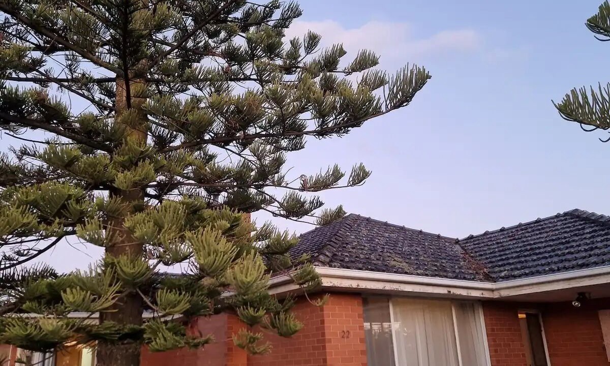 Photo of Outdoor in Tullamarine