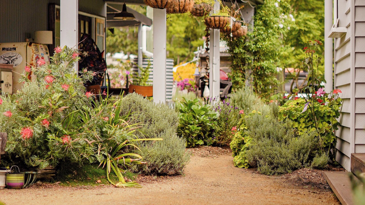 Photo of Outdoor in Canungra