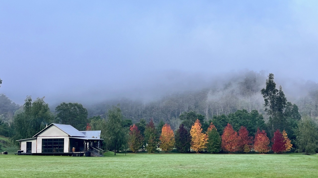 Photo of Outdoor in Wollombi
