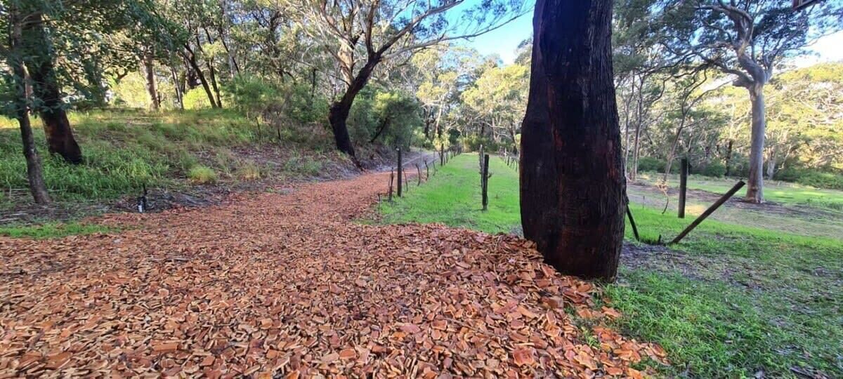 Photo of Outdoor in Bobs Farm