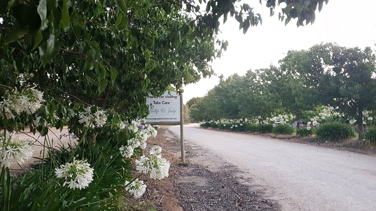Photo of Outdoor in Bremer