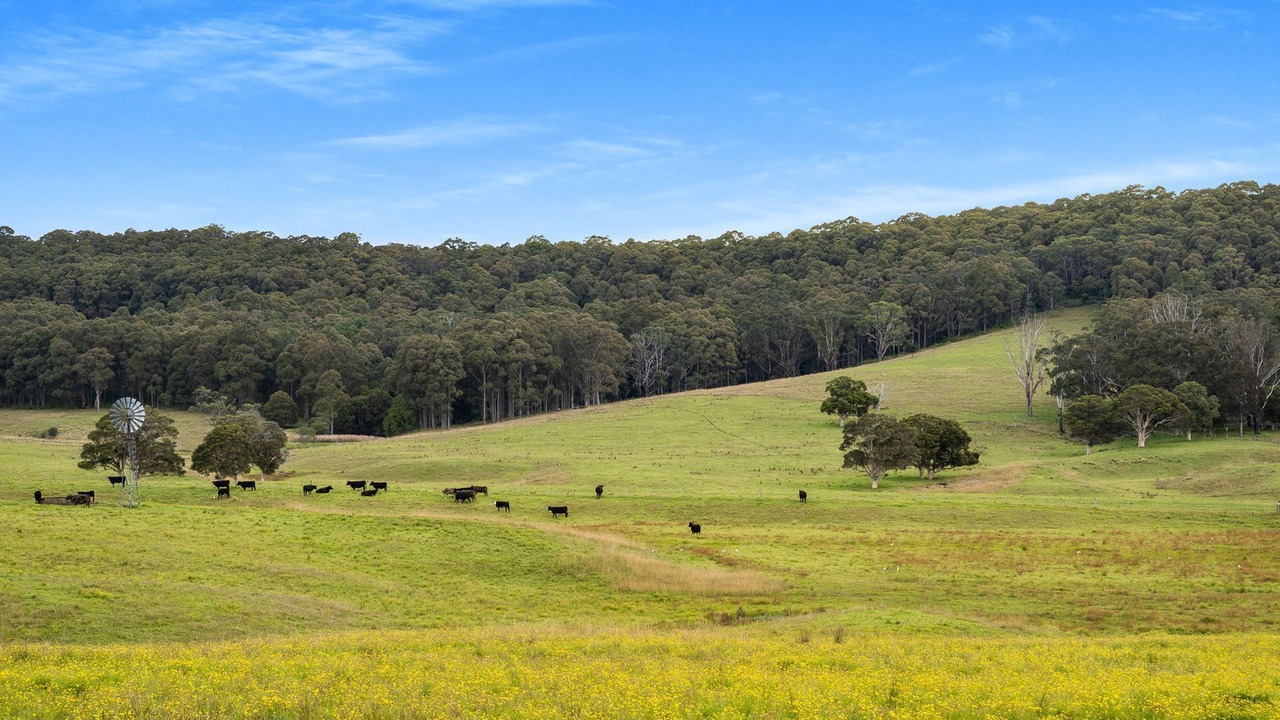 Photo of Others in Far Meadow
