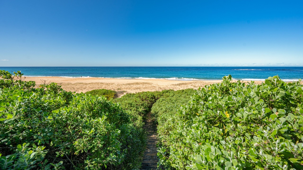 Photo of Others in Forresters Beach
