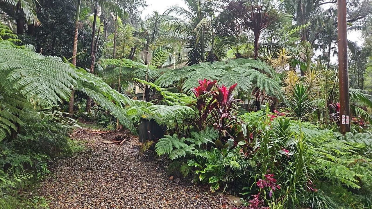 Photo of Outdoor in Stanwell Park