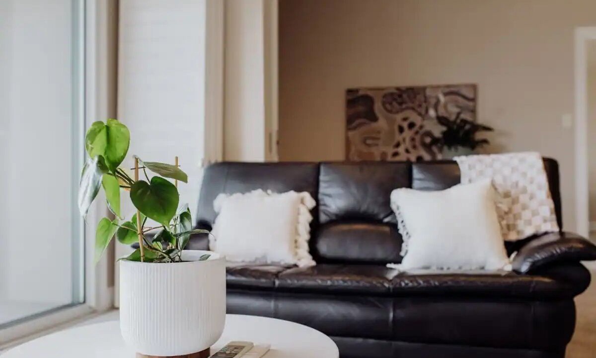 Photo of Livingroom in Bicheno