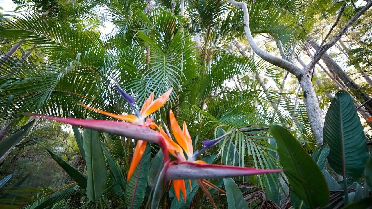 Photo of Outdoor in Verrierdale